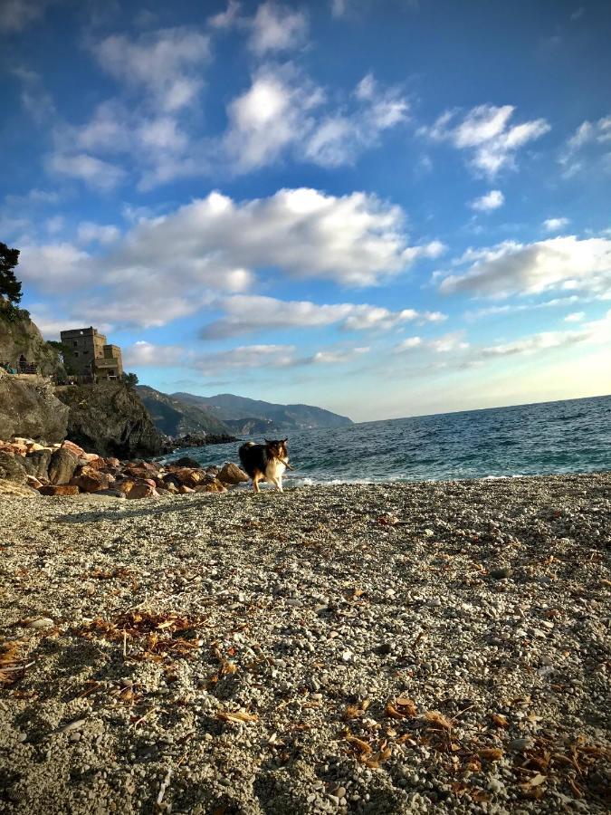 Ca Lea,200 Mt From The Beach Leilighet Monterosso al Mare Eksteriør bilde