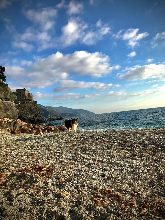 Ca Lea Beach House Monterosso al Mare Eksteriør bilde